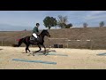 Jument CSO haut niveau 3 ans