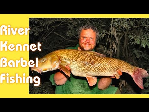 Barbel Fishing On the Kennet - Short Easy Fishing? - Sometimes! (Video 235)