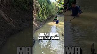 Download lagu Dipancing dong bang‼️ #mancing #fishing mp3