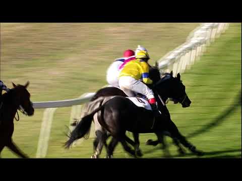 PE, 14. 10. 2018, 5. dostih - Cena hejtmana Pardubického kraje - Cena Vltavy