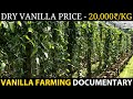 VANILLA FARMING VANILLA CULTIVATION