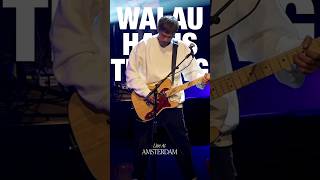 Download lagu NOAH - Walau Habis Terang (Live) #shorts mp3 Download lagu NOAH - Walau Habis Terang (Live) #shorts mp3