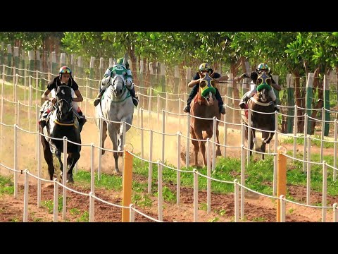 CAVALGADA FEST 2025 - Haras Casa do Campo / Baixa Grande do Ribeiro - PI