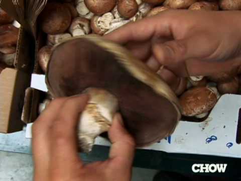 Buying and Cooking Portobello Mushrooms - CHOW Tip