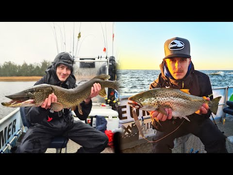 Ranuanmiehet merellä - VALTAVA hauki ja kaunis meritaimen