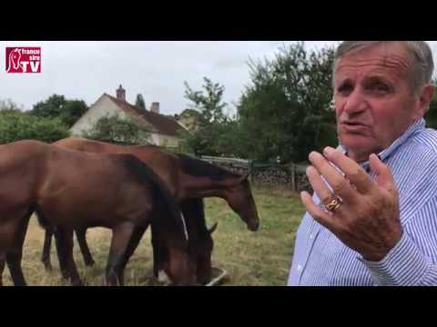 Dans les prés du Haras d'Arthel, la nouvelle rencontre avec Guillaume de Brondeau