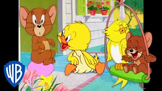 Tom & Jerry | Birds of a Feather... Flock to Jerry 🐣 | Classic Cartoon Compilation | @WB Kids