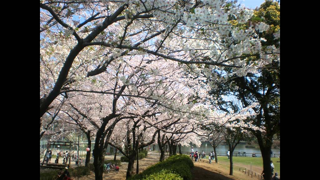 みんなのうた　うたえバンバン