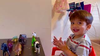 Animals for kids | Toy Animals #calgary #canada #alberta