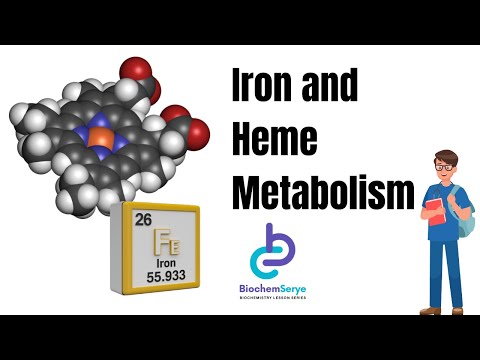 Iron and Heme Metabolism Full Lecture Video