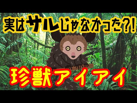 IUCN分類における絶滅の危険性を示す図。