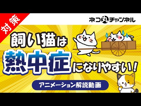 あなたの猫が暑いかどうかはどうやってわかりますか?