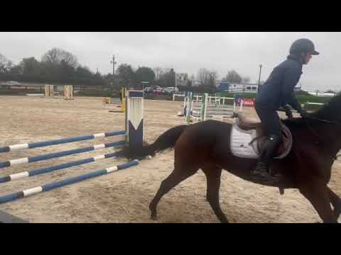 CAVAN SALES LOT: 61 BTY PORSH Q - Image 2