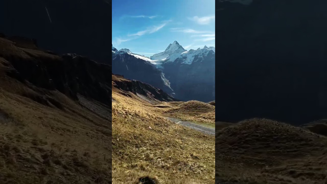 YouTube Short thumbnail