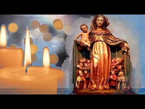 33 SCHRITTE - 33 Tage mit Maria zu Jesus!  2. TAG