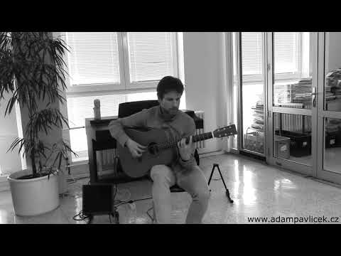 Adam Pavlíček - Adam Pavlíček - Coming Home (Hommage to Peter Finger) / live 4.4