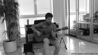 Adam Pavlíček - Coming Home (Hommage to Peter Finger) / live 4.4