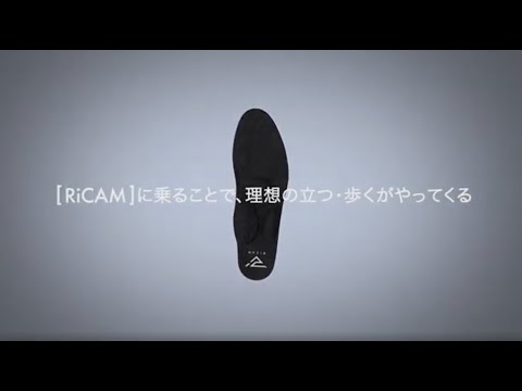 【いつもの靴に入れるだけ】IRERUDAKE（インソール）　 | irerudake