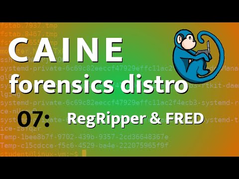 CAINE - 07 - Windows Registry analysis with RegRipper and Fred