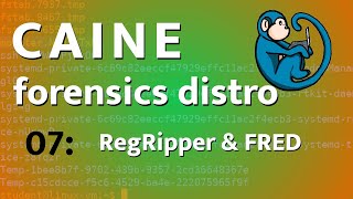 CAINE - 07 - Windows Registry analysis with RegRipper and Fred