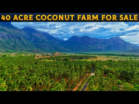 🌴அனைத்து வசதிகளுடன் 40 ஏக்கர் விற்பனைக்கு🌳40 ACRE FOR SALE#property #coconutfarm #realestate #farm