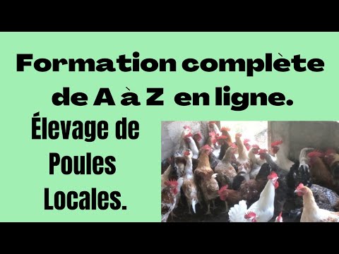 , title : 'Élevage de poules locales : Formation de A à Z.'