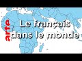 Le français dans le monde - Karambolage - ARTE