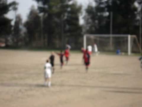 Colonia Julia Usellus - La Piovra e' universale!!