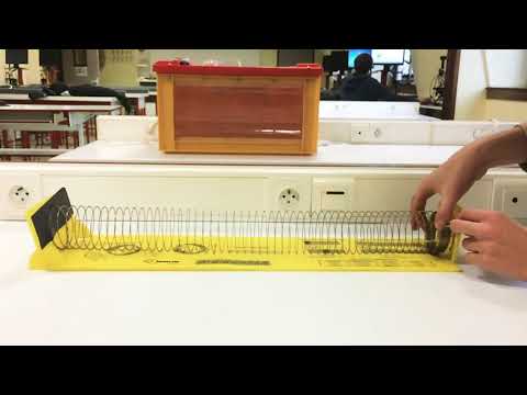 TPE parasismique ondes P compression-dilatation