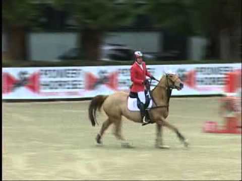 CSIO Linz - Nationenpreis 2013 - Dieter Köfler