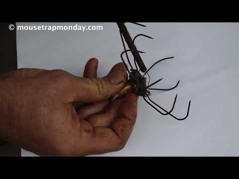 Rare Antique 1877 Eagle Claw Mouse Trap In Action. mousetrapmonday.com Video