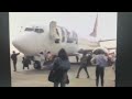 America S Funniest Home Videos European Videos Season 3 Part 1