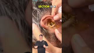 I not sure how I would handle this!  #cruisenews  #cruisinchronicles  #cruisetour  #cruisetips