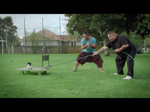 TAKE HOME PAY - Far-ma-low-see - In Cinemas SEPT 5th