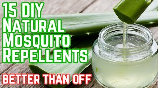 3 Ingredient Home made Mosquito Repellent | No more BITES!!!