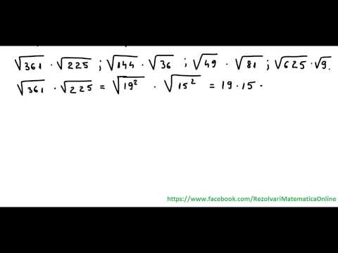 Grade 7 - Chapter Real numbers The square root of a perfect square natural number - ex 2