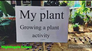 Growing a plant activity at Nightingale School Nazareth