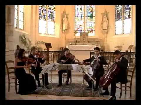 SCHUBERT (1/6): String Quintet in C major - I. Allegro ma no troppo