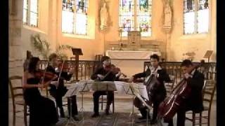 SCHUBERT (1/6): String Quintet in C major - I. Allegro ma no troppo