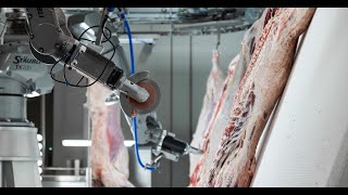 Novel technology for automated beef carcass scribing