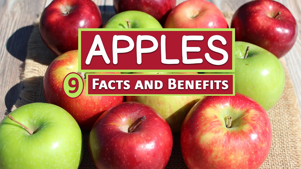 9 Facts and Health Benefits of Eating Apples