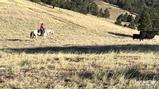 Video 1
