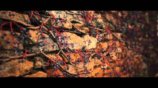 Mystic Letter K - Earth / Mirai (未来)