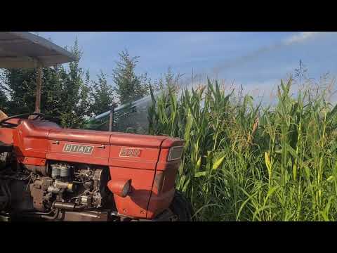 Fiat 640 irrigazione mais 2021 con pompa irrigazione veneta NT/D2