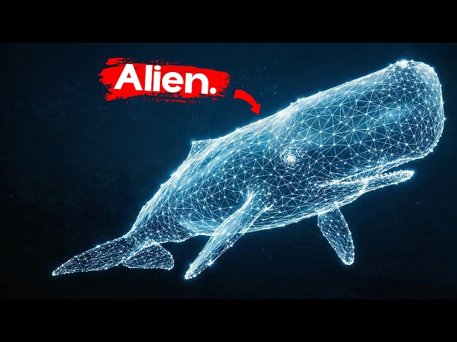 Sperm Whales Shouldn't Exist.. So Why Do They? SDDEFAULT Thumbnail