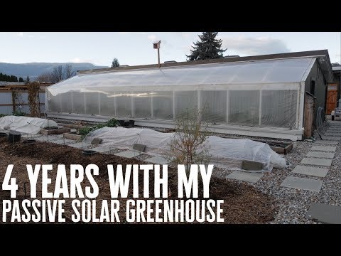 The Evolution of My Greenhouse: 4 Years Later, Surprising Upgrades Revealed!