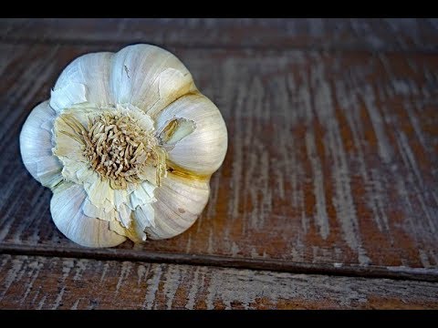 Episode 201 - The Numerous Health Benefits of Vitamin-G