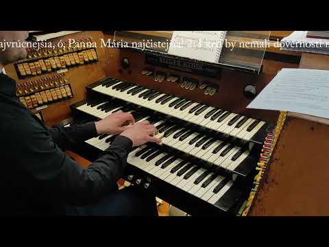 JKS 335 - Ja som si vyvolil (Dóm sv. Alžbety)