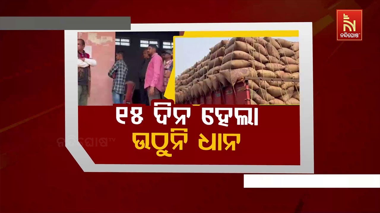 🔴Live | ୧୫ଦିନ ହେଲାଣି ଉଠୁନି ଧାନ