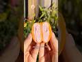 Trying Trader Joe S NEW Blood Orange Mochi Ice Cream Mochi Traderjoes Icecream